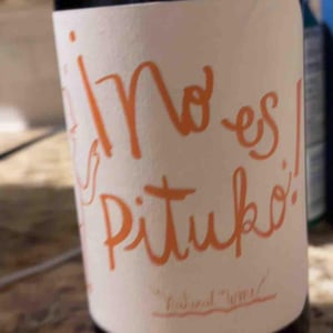 No Es Pituko - Viña Echeverría - Quasar Wines - roberto-viviana-paulina-diego-echeverria
