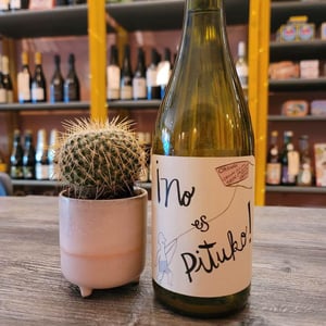No Es Pituko - Viña Echeverría - Quasar Wines - roberto-viviana-paulina-diego-echeverria