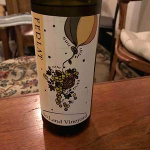 No Land Vineyard - Società Agricola Silvano Ferlat - moreno-ferlat