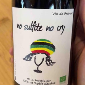 No Sulfite No Cry - Lilian & Sophie Bauchet - Lilian & Sophie Bauchet 