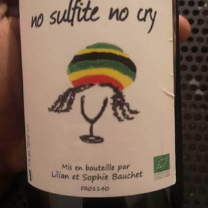 No Sulfite No Cry - Lilian & Sophie Bauchet - Lilian & Sophie Bauchet 