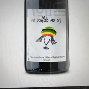 No Sulfite No Cry - Lilian & Sophie Bauchet - Lilian & Sophie Bauchet 