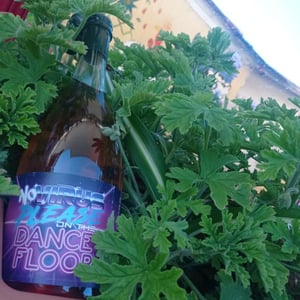 No Virus Please on the Dance Floor - Masseria La Cattiva - a-colangelo-l-di-vincenzo-l-lamolinara-m-la-barbera-m-pastore-bovio-m