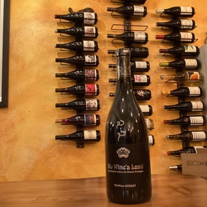 No Wine's Land - Domaine du Coulet - Matthieu Barret 