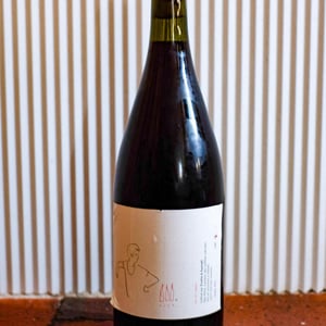 Noah - Lapins Des Vignes - raphael-beysang-emelie-hurtubise