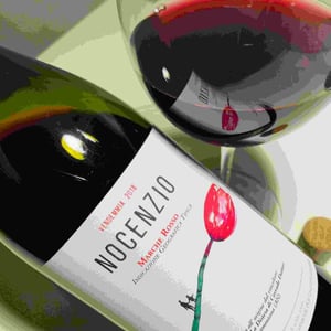Nocenzio - La Distesa - corrado-dottori