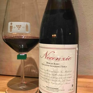 La Distesa - Corrado Dottori - Nocenzio