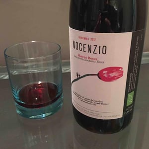 Nocenzio - La Distesa - Corrado Dottori 