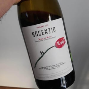 Nocenzio - La Distesa - Corrado Dottori 