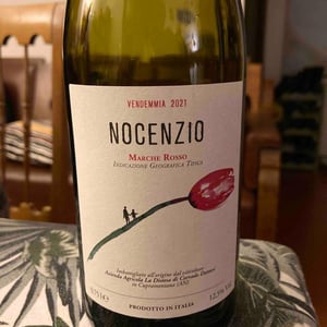 Nocenzio - La Distesa - Corrado Dottori 