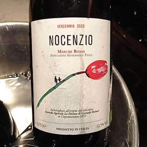Nocenzio - La Distesa - corrado-dottori
