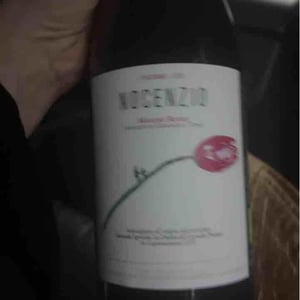 Nocenzio - La Distesa - Corrado Dottori 