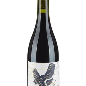Nocturne - Chais Du Port De La Lune - laurent-bordes-annica-haapa