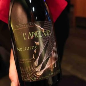 Nocturne 2014