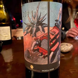 Perill Noir - Clos Lentiscus - manel-avino