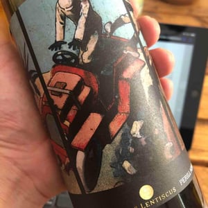 Perill Noir - Clos Lentiscus - manel-avino
