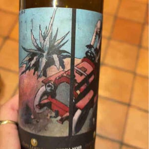 Perill Noir - Clos Lentiscus - Manel Aviñó 