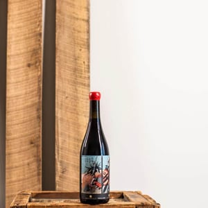 Perill Noir - Clos Lentiscus - manel-avino