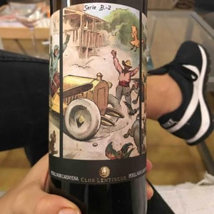 Perill Noir - Clos Lentiscus - manel-avino