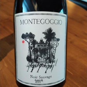 Noir Sauvage