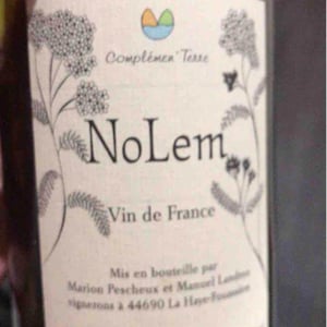 Complémen'Terre - Marion Pescheux & Manuel Landron - NoLem