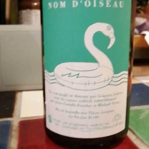 Nom D’oiseau - Le Chapitre - Gregoire Aubrun 