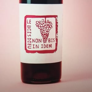 Non Bis In Idem - Le Bois Dieu - Salma Cassam Chenaï & Frédéric Thiry 