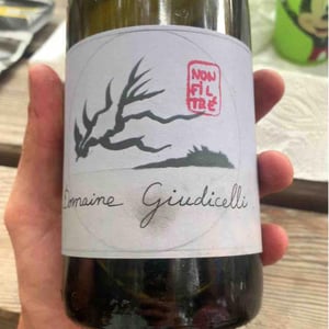 Non Filtré - Domaine Giudicelli - muriel-giudicelli -2022