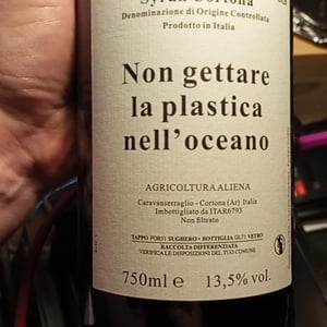 Non gettare plastica nell’oceano - Caravanserraglio - Caravanserraglio -2017