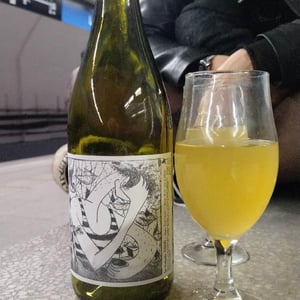Disbarats - Celler La Salada - Toni Carbó -2019