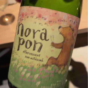 Norapon effervescent - Nora-Kura Winery - 農楽蔵 - Ken & Kasubo Sasaki 