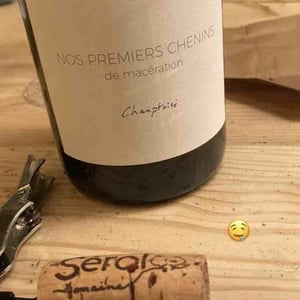 Nos Premiers Chenins de Macération - Champtoisé - Domaine Serol - Stéphane et Carine Serol 