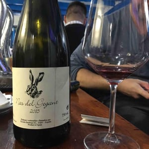Celler Escoda Sanahuja - Joan Ramón Escoda Martinez - Nas del Gegant Red