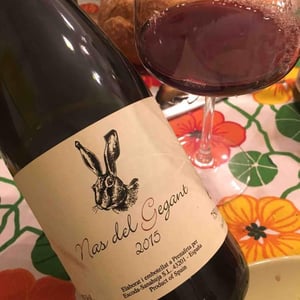 Celler Escoda Sanahuja - Joan Ramón Escoda Martinez - Nas del Gegant Red