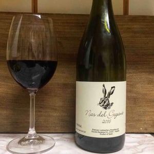 Celler Escoda Sanahuja - Joan Ramón Escoda Martinez - Nas del Gegant Red