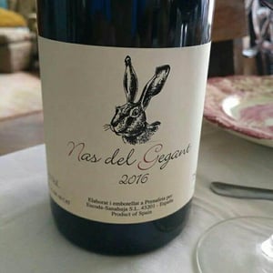 Celler Escoda Sanahuja - Joan Ramón Escoda Martinez - Nas del Gegant Red