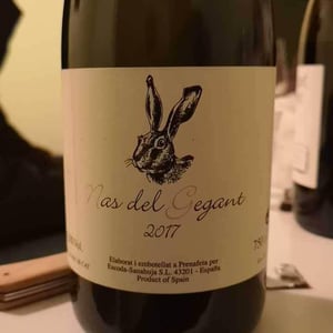 Nas del Gegant Red - Celler Escoda Sanahuja - joan-ramon-escoda-martinez