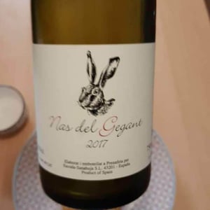 Celler Escoda Sanahuja - Joan Ramón Escoda Martinez - Nas del Gegant Red