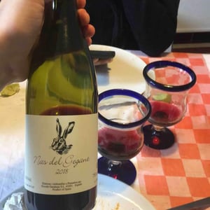 Celler Escoda Sanahuja - Joan Ramón Escoda Martinez - Nas del Gegant Red