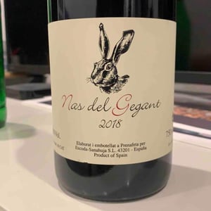 Celler Escoda Sanahuja - Joan Ramón Escoda Martinez - Nas del Gegant Red
