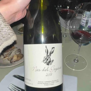 Celler Escoda Sanahuja - Joan Ramón Escoda Martinez - Nas del Gegant Red