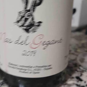 Celler Escoda Sanahuja - Joan Ramón Escoda Martinez - Nas del Gegant Red