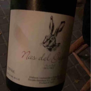Celler Escoda Sanahuja - Joan Ramón Escoda Martinez - Nas del Gegant Red