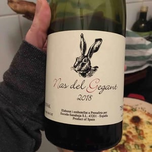 Celler Escoda Sanahuja - Joan Ramón Escoda Martinez - Nas del Gegant Red