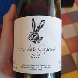Celler Escoda Sanahuja - Joan Ramón Escoda Martinez - Nas del Gegant Red