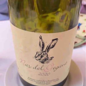 Celler Escoda Sanahuja - Joan Ramón Escoda Martinez - Nas del Gegant Red
