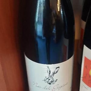 Celler Escoda Sanahuja - Joan Ramón Escoda Martinez - Nas del Gegant Red