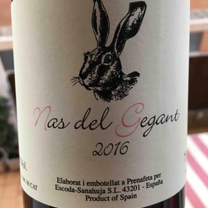 Nas del Gegant 2016