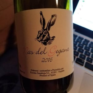 Nas del Gegant 2016