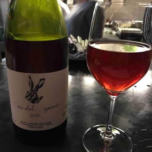 Nas del Gegant Rosé - Celler Escoda Sanahuja - joan-ramon-escoda-martinez